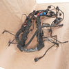 07-10 OEM BMW Engine Wiring Harness X5 4.8i N62N N62TU 7570407 E70