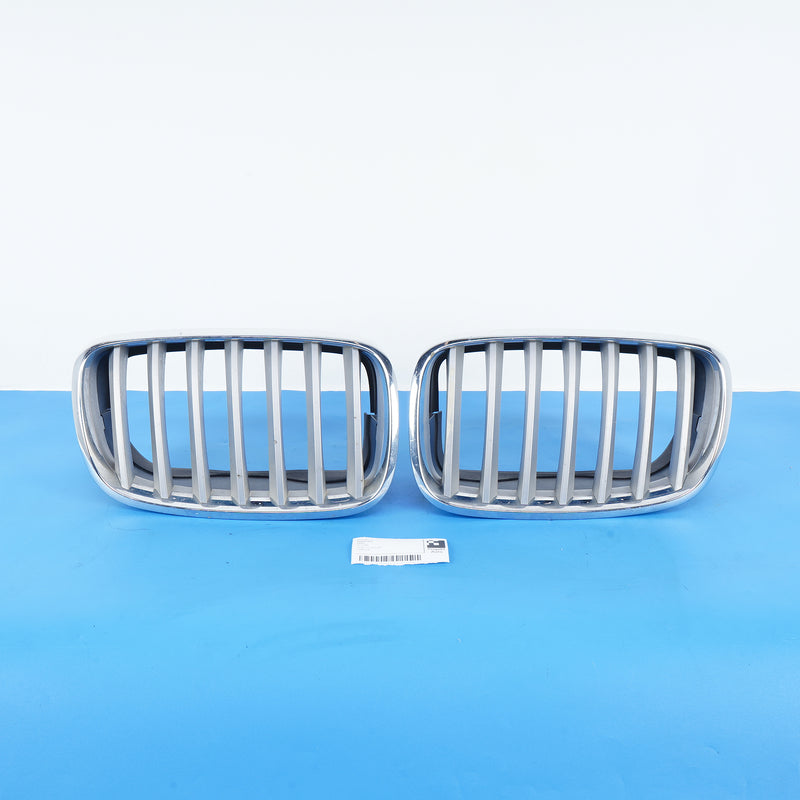 07-14 OEM BMW Grill Set Titanium Silver X5 718224 7185223 E70 E71