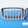 07-14 OEM BMW Grill Set Titanium Silver X5 718224 7185223 E70 E71