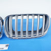 07-14 OEM BMW Grill Set Titanium Silver X5 718224 7185223 E70 E71
