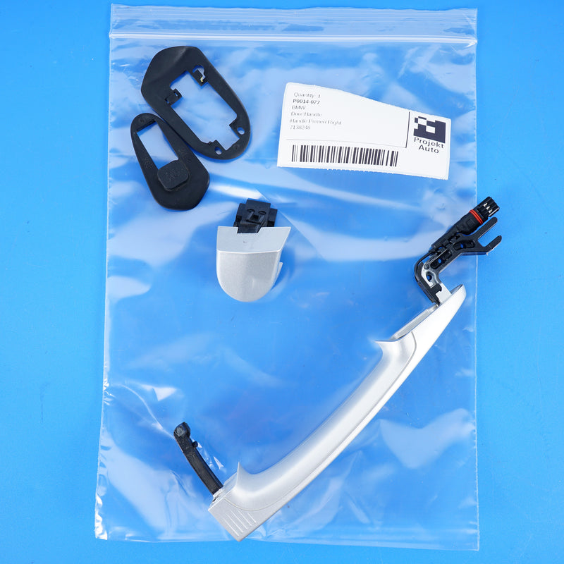 07-14 OEM BMW Rear Right Door Handle X5M X6M X5 X6 Titanium Silver Metallic E70