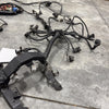 11-12 OEM BMW Engine Wiring Harness 550i 750i N63 xDrive 7619579 F01 F02 F07
