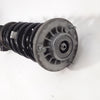 12-18 OEM BMW Rear Left Strut Assembly Adaptive 650i RWD 6859781 F13