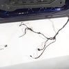13-19 OEM BMW Front Left Door Complete Glass X10 Tanzanite Blue M6 650i GC F06