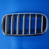 14-18 OEM BMW Front Left Kidney Grille X5 X6 Satin Silver Insert 7303107 F15