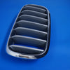 14-18 OEM BMW Front Left Kidney Grille X5 X6 Satin Silver Insert 7303107 F15