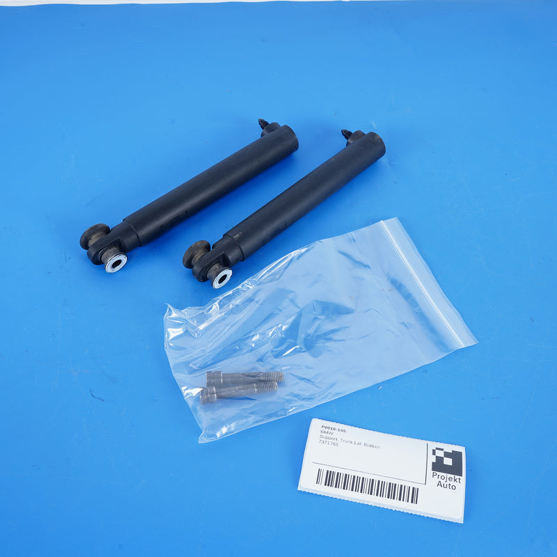 14-18 OEM BMW Lower Trunk Lid Strut Set X5 X5M 7371765 F15 F85