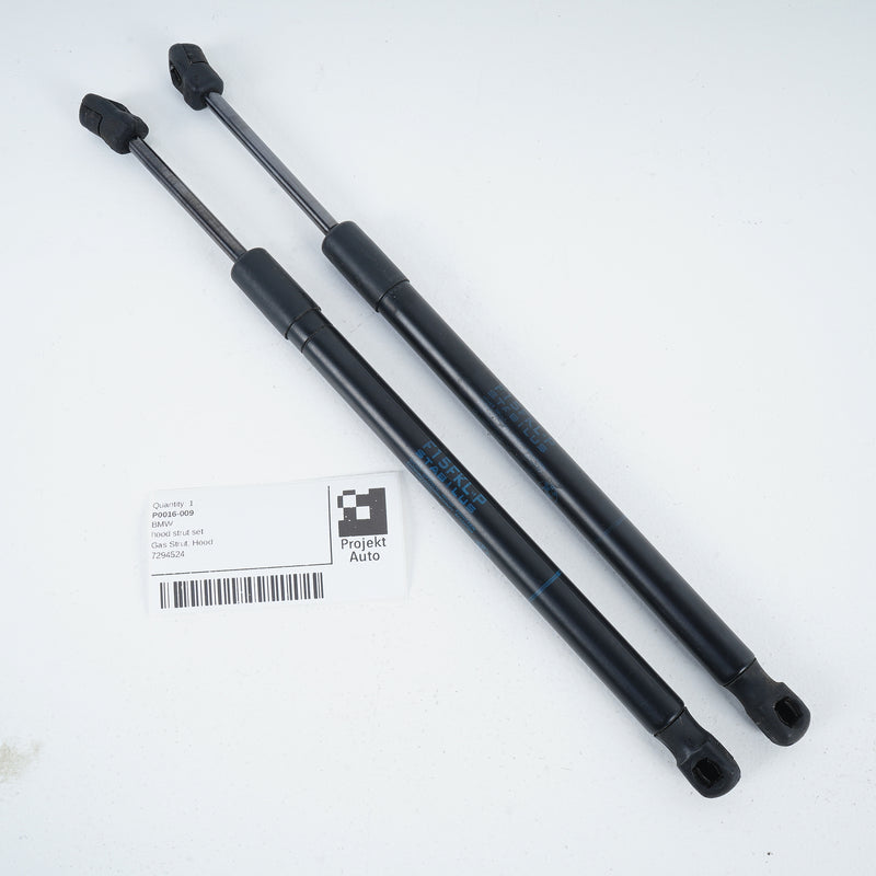 14-19 OEM BMW hood strut set X5M X6M X5 X6 7294524 F15 F85 F16 F86