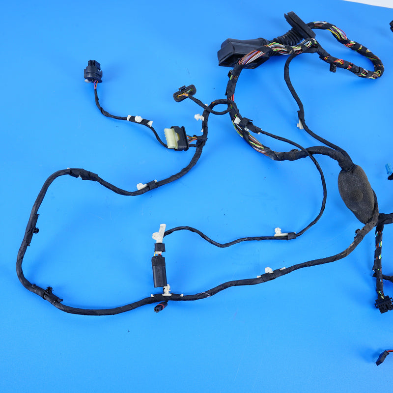 16-19 OEM BMW Front Right Passenger Door Wiring Harness 7 Series 6839196 G12