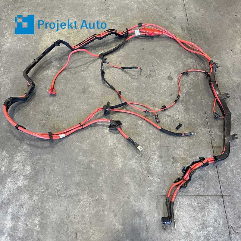 16-18 OEM BMW Positive Cable Set Battery Under Car X5 xDrive40e 9381820 F15