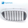 18-20 OEM BMW Front Right Grill Passenger w/Blue Accents for 530e 7473702 G30