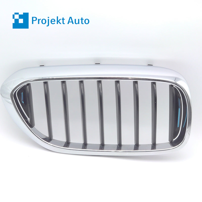 18-20 OEM BMW Front Right Grill Passenger w/Blue Accents for 530e 7473702 G30