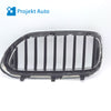 18-20 OEM BMW Front Right Grill Passenger w/Blue Accents for 530e 7473702 G30