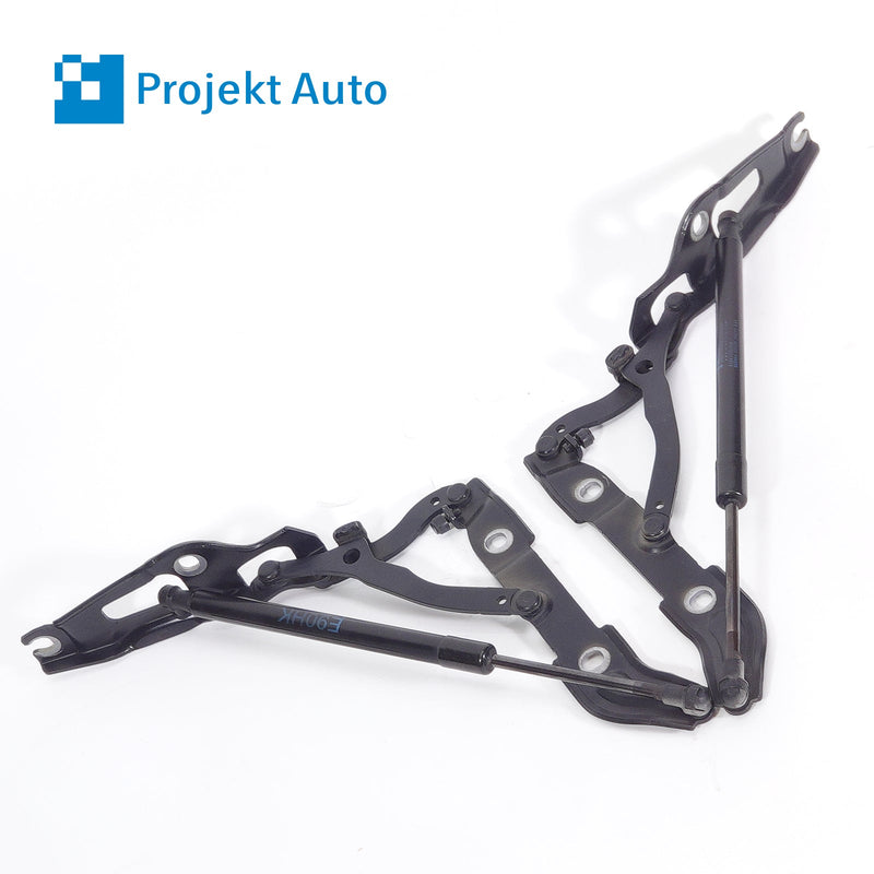 05-13 OEM BMW Left Right Hinge Set Trunk Lid w/Struts Black 7210675 E90 E92