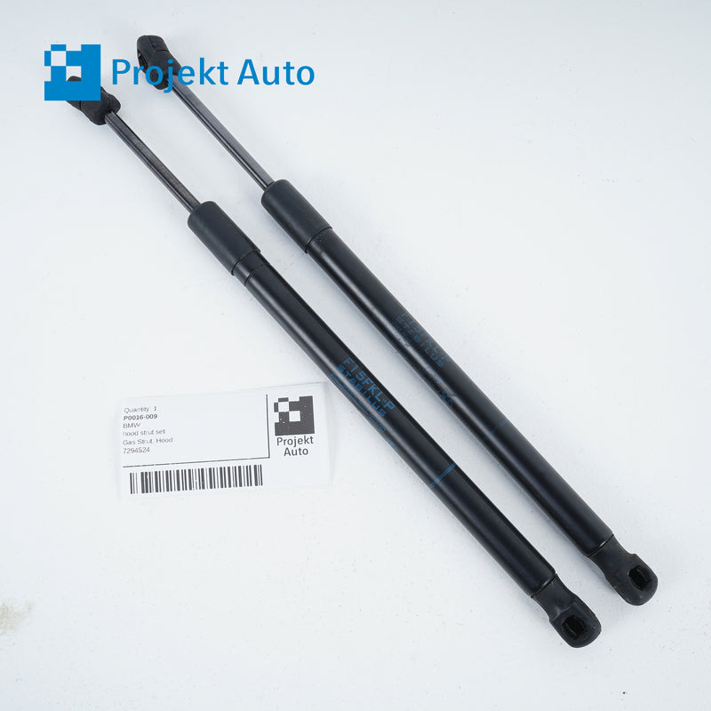 14-19 OEM BMW hood strut set X5M X6M X5 X6 7294524 F15 F85 F16 F86